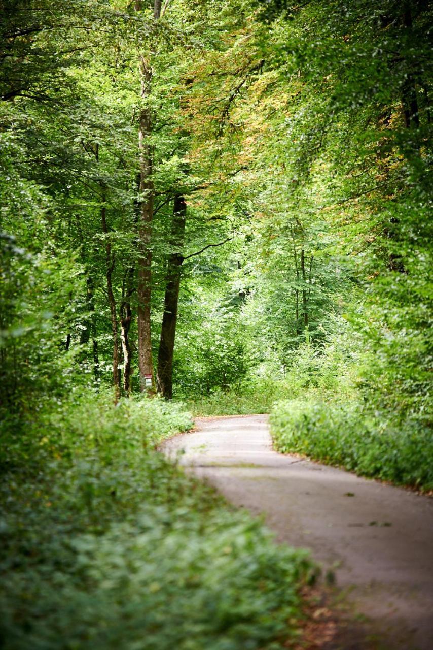 Christepaul Ferienwohnungen Bengel Bagian luar foto